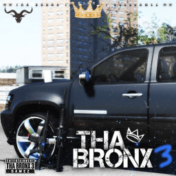 Tha Bronx 3